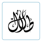 طلال حبيب